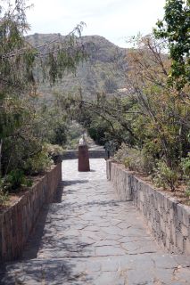 GC-Jardin Botanico Viera 2019-03.JPG